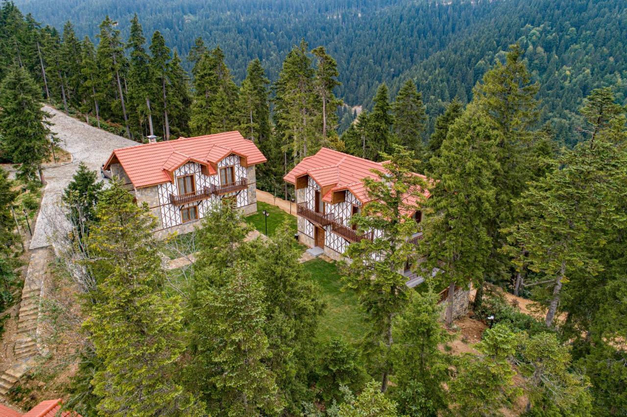 Foleya Mountain Resort Hotel & Villas Trabzon Ngoại thất bức ảnh