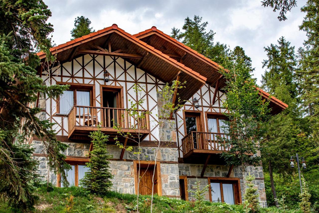 Foleya Mountain Resort Hotel & Villas Trabzon Ngoại thất bức ảnh
