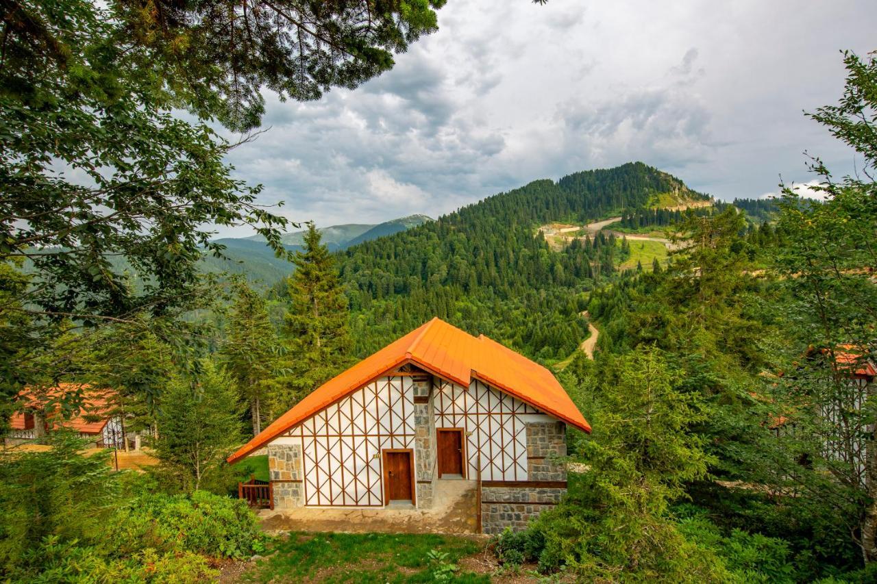 Foleya Mountain Resort Hotel & Villas Trabzon Ngoại thất bức ảnh